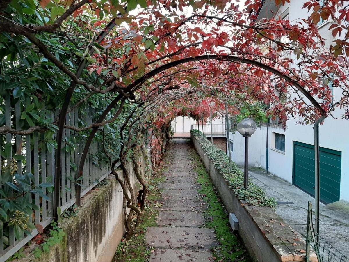 Appartamento Genziana - Con Vista Piscina E Garage Sirmione Ngoại thất bức ảnh
